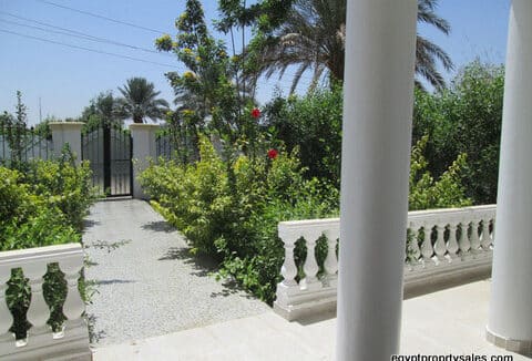 Modern 2-Bedroom Garden Apartment for Rent with Nile View on West Bank, Luxor