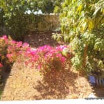 1-Bedroom Apartment for Rent in Ramla Luxor | Near Gezira Garden Hotel