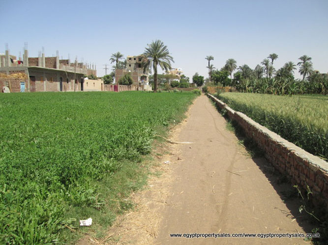 LAN506S Piece of land in Djorf West bank Luxor