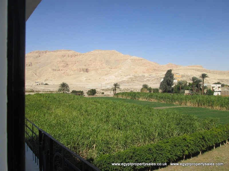 First floor 3 bedroom Apartment for rent in Luxor with amazing views of historic sites West Bank of Luxor city Habu