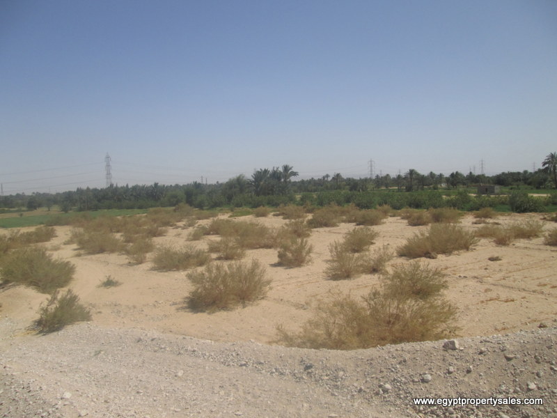 LAN2104S Land for sale in Luxor valid for all investments with Mountain View