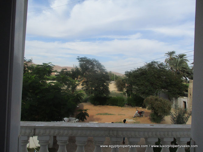 Welcome to this first floor 3 bedroom Apartment for rent in Luxor with amazing views of historic sites West Bank of Luxor city Habu on our website Egypt Property Sales.