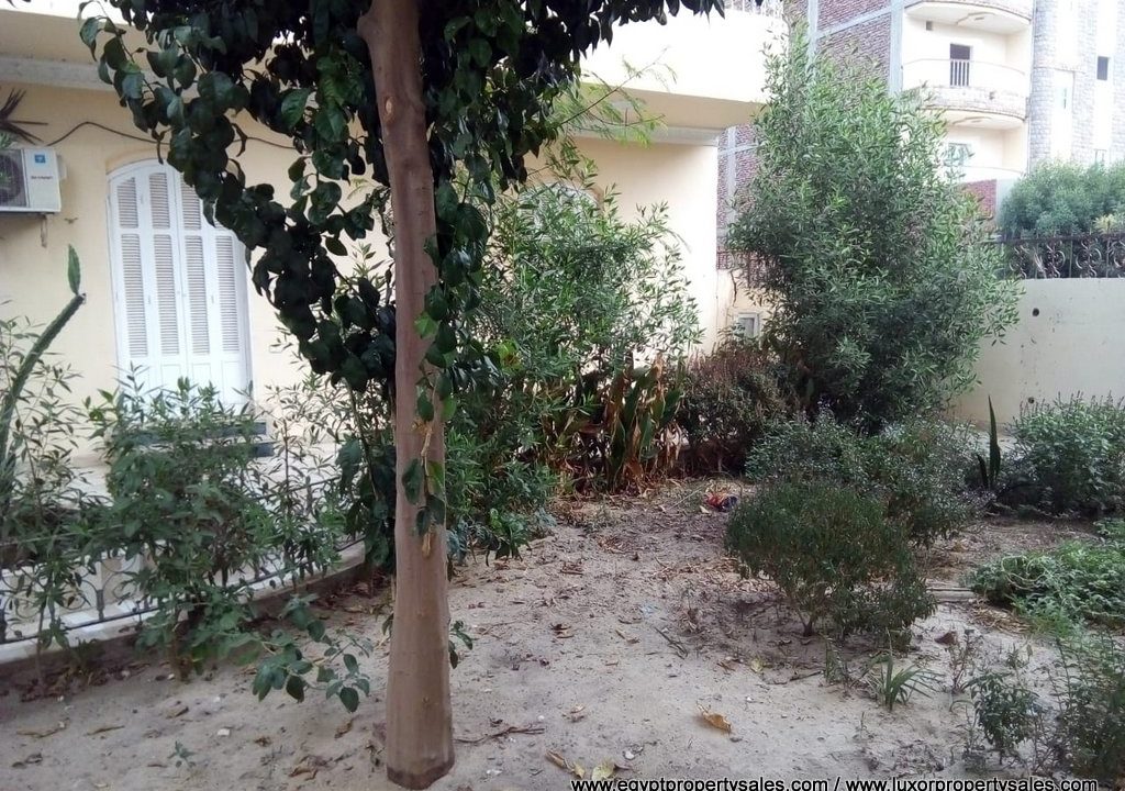 Unfurnished apartment on ground floor with a garden near the Nile in Luxor