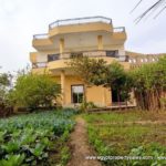 WB2157S Two storey house with amazing garden near to the Nile for sale in west bank of Luxor city, Ramla