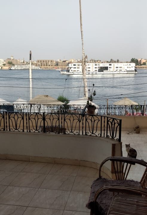 WhatsApp Image 2026-02-05 at 12.48.16 PM (1)