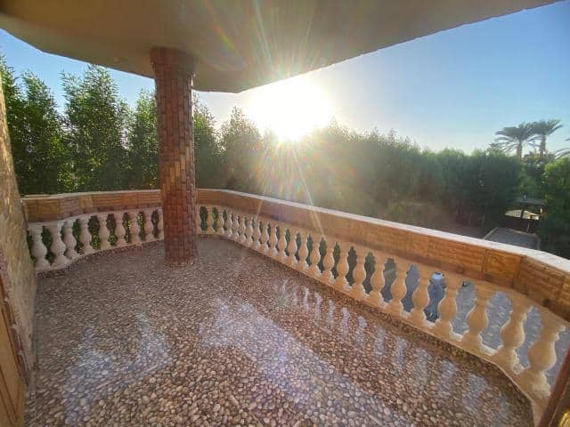 WhatsApp Image 2025-11-03 at 3.17.04 PM (1)