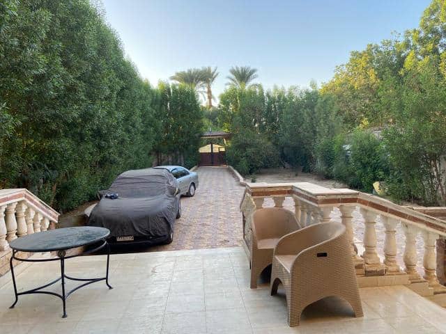 WhatsApp Image 2025-11-03 at 3.17.10 PM (2)