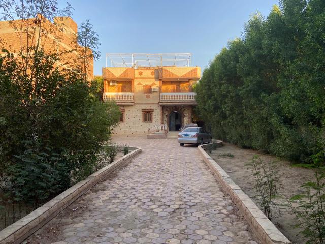 WhatsApp Image 2025 11 03 at 3.17.11 PM 1 1