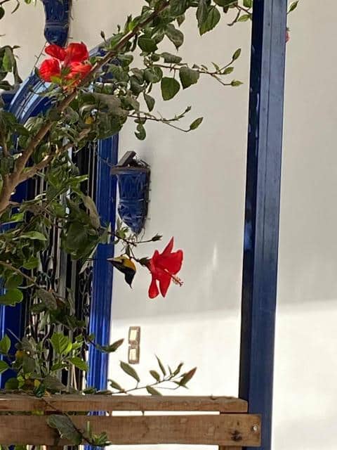 WhatsApp Image 2025-11-08 at 11.37.29 AM (1)