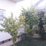 WhatsApp Image 2025 11 08 at 4.41.16 PM 2