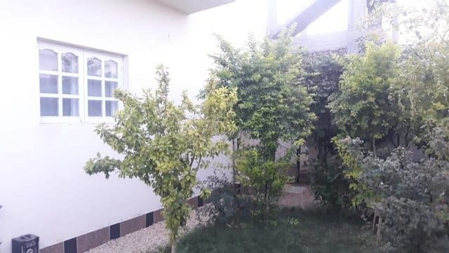 WhatsApp Image 2025 11 08 at 4.41.16 PM 2